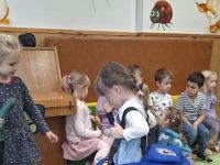 Czytaj więcej: Galeria - Biedronek