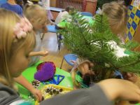 Czytaj więcej: Galeria - Biedronek