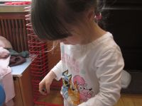 Czytaj więcej: Galeria - Biedronek