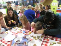 Czytaj więcej: Galeria - Biedronek