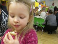 Czytaj więcej: Galeria - Biedronek