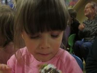 Czytaj więcej: Galeria - Biedronek