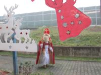 Czytaj więcej: Galeria - Biedronek