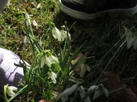 Czytaj więcej: Galeria - prace plastyczne 2024/25