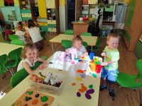 Czytaj więcej: Galeria - Pszczółek