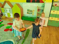 Czytaj więcej: Galeria - Pszczółek