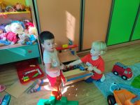 Czytaj więcej: Galeria - Pszczółek