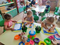 Czytaj więcej: Galeria - Pszczółek