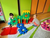 Czytaj więcej: Galeria - Pszczółek