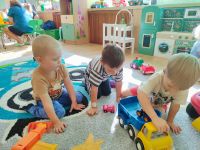 Czytaj więcej: Galeria - Pszczółek