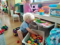 Czytaj więcej: Galeria - Pszczółek