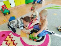 Czytaj więcej: Galeria - Pszczółek