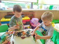 Czytaj więcej: Galeria - Pszczółek