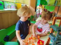 Czytaj więcej: Galeria - Pszczółek