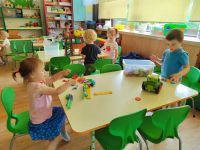 Czytaj więcej: Galeria - Pszczółek