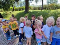 Czytaj więcej: Galeria - Pszczółek