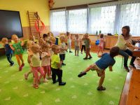 Czytaj więcej: Galeria - Pszczółek