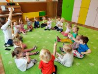 Czytaj więcej: Galeria - Pszczółek