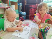 Czytaj więcej: Galeria - Pszczółek