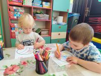 Czytaj więcej: Galeria - Pszczółek