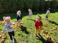 Czytaj więcej: Galeria - Pszczółek