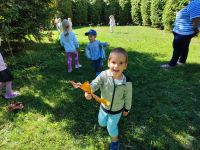 Czytaj więcej: Galeria - Pszczółek