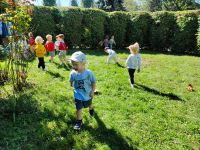 Czytaj więcej: Galeria - Pszczółek