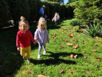 Czytaj więcej: Galeria - Pszczółek