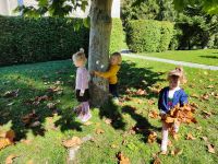 Czytaj więcej: Galeria - Pszczółek