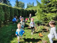 Czytaj więcej: Galeria - Pszczółek