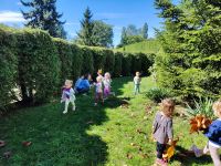 Czytaj więcej: Galeria - Pszczółek