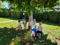 Czytaj więcej: Galeria - Pszczółek