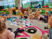 Czytaj więcej: Galeria - Pszczółek