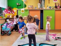 Czytaj więcej: Galeria - Pszczółek