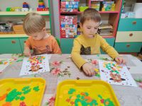 Czytaj więcej: Galeria - Pszczółek