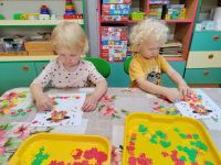 Czytaj więcej: Galeria - Pszczółek