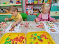 Czytaj więcej: Galeria - Pszczółek