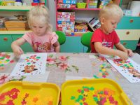 Czytaj więcej: Galeria - Pszczółek