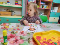 Czytaj więcej: Galeria - Pszczółek