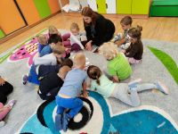 Czytaj więcej: Galeria - Pszczółek