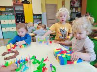 Czytaj więcej: Galeria - Pszczółek