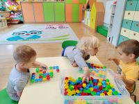 Czytaj więcej: Galeria - Pszczółek