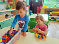 Czytaj więcej: Galeria - Pszczółek