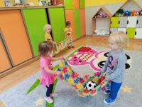 Czytaj więcej: Galeria - Pszczółek