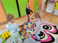 Czytaj więcej: Galeria - Pszczółek