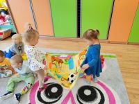 Czytaj więcej: Galeria - Pszczółek