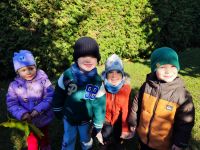 Czytaj więcej: Galeria - Pszczółek