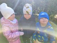 Czytaj więcej: Galeria - Pszczółek