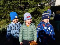 Czytaj więcej: Galeria - Pszczółek