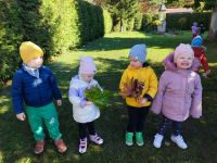 Czytaj więcej: Galeria - Pszczółek